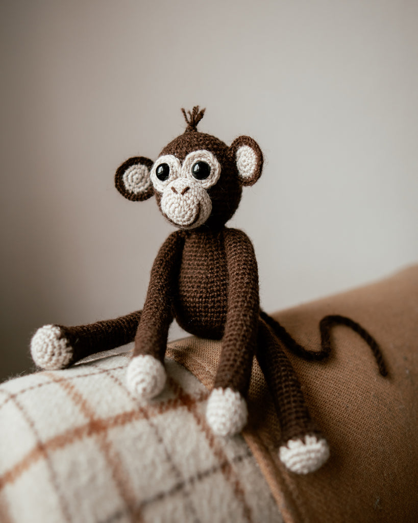 My Little Monkey