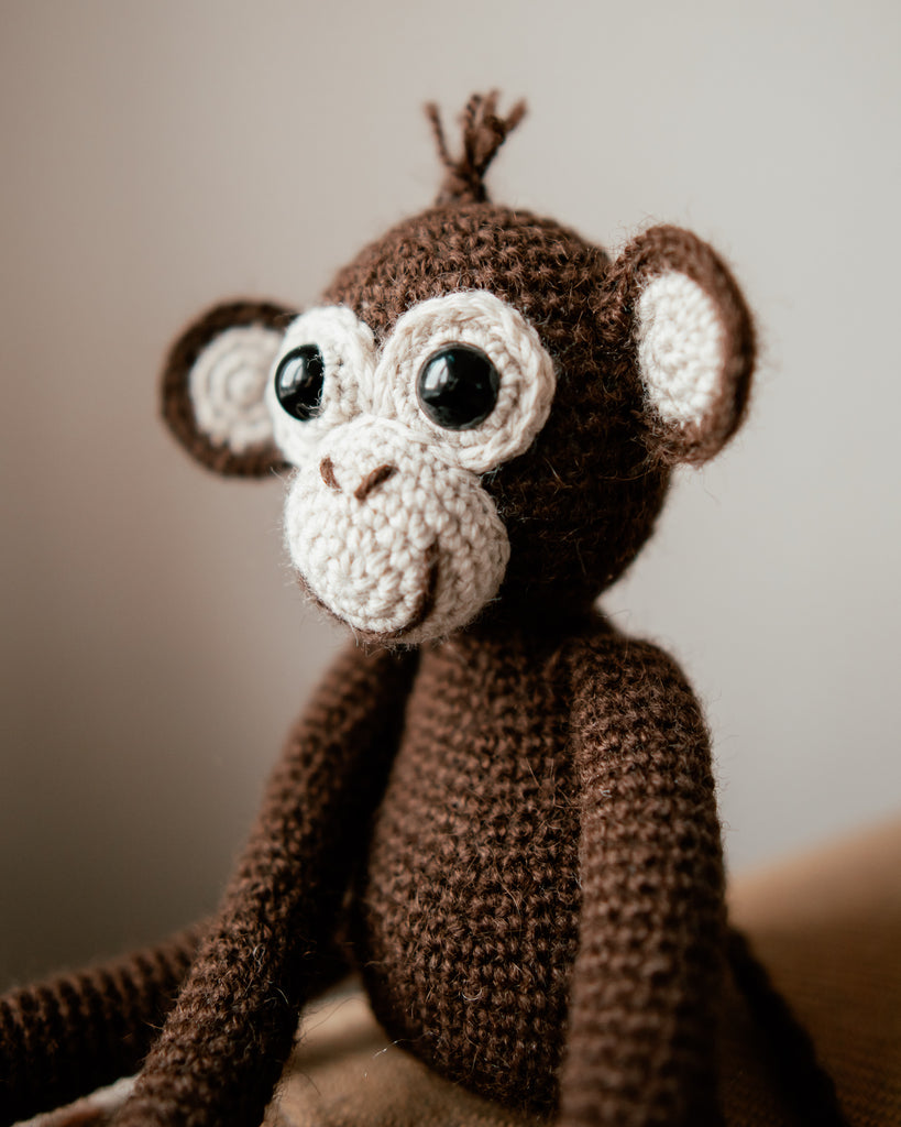 My Little Monkey