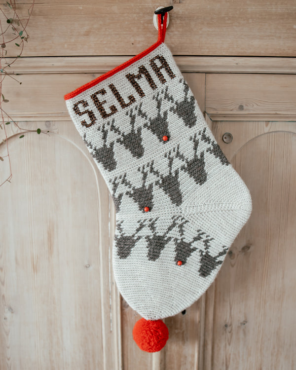 My Rudolph Stocking