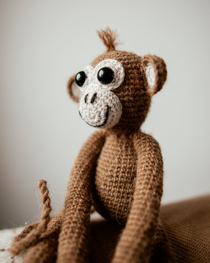 My Little Monkey