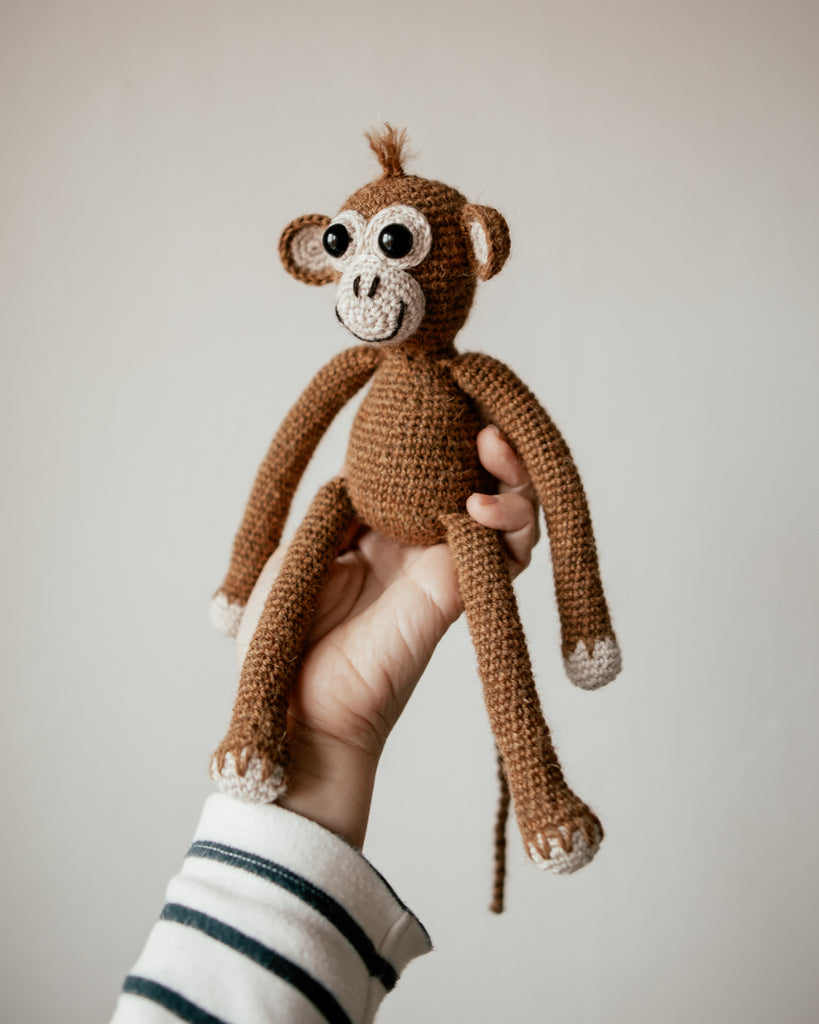 My Little Monkey